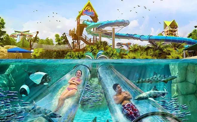Aquatico