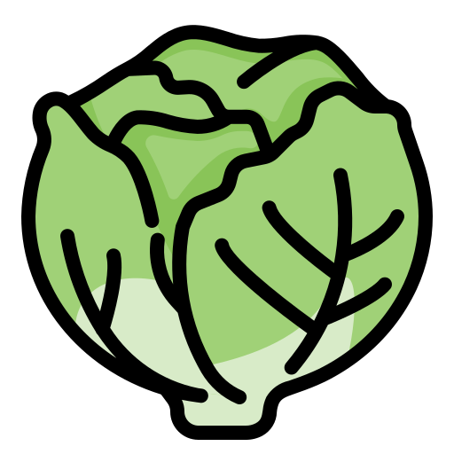 lettuce