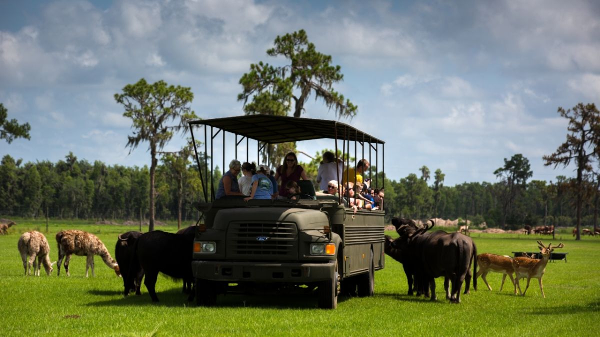 Safari Wilderness Ranch